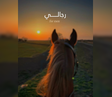 icon-img
