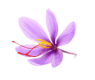 variant-color-img