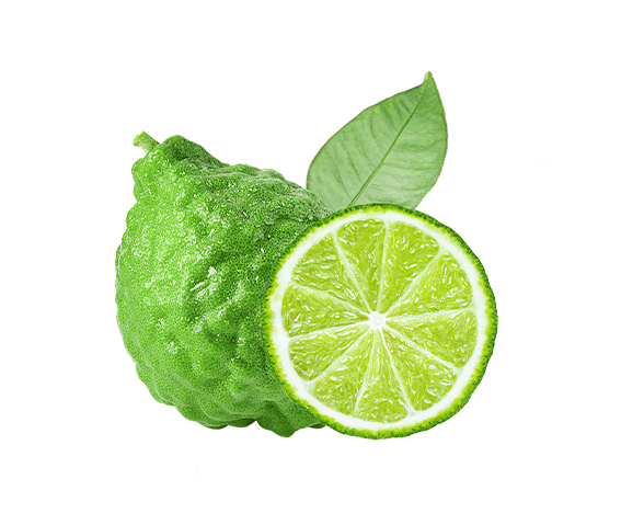 variant-color-img