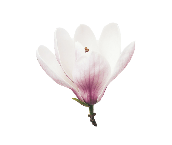 variant-color-img